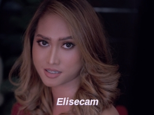 Elisecam