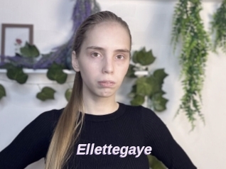 Ellettegaye
