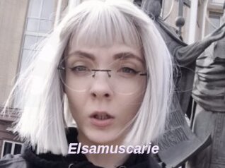 Elsamuscarie