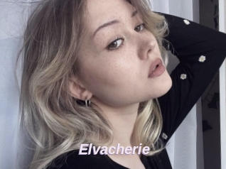 Elvacherie