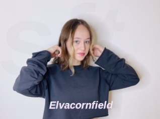 Elvacornfield