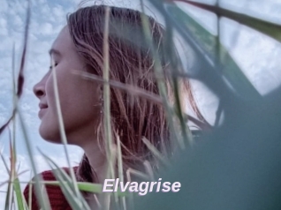 Elvagrise
