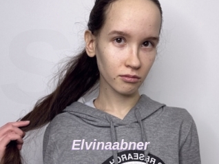 Elvinaabner