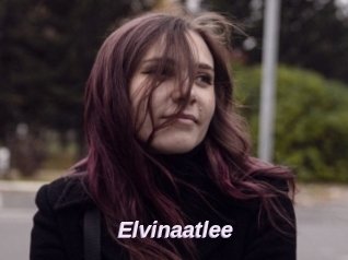 Elvinaatlee