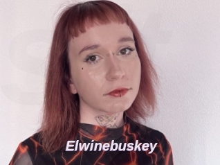 Elwinebuskey