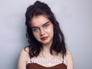 Elwynabench