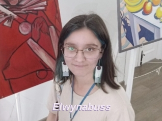 Elwynabuss