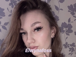 Elwynafoss