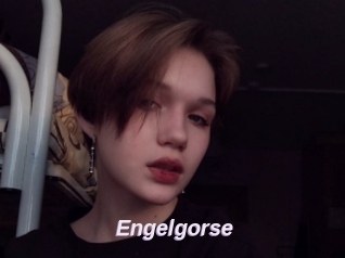 Engelgorse