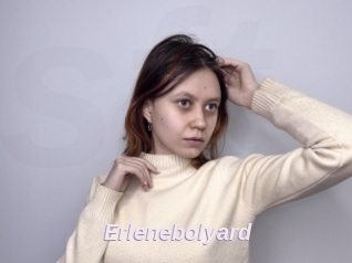 Erlenebolyard
