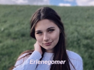 Erlenegomer