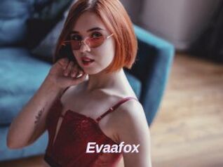 Evaafox