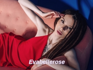 Evabellerose
