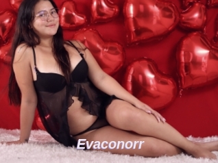 Evaconorr