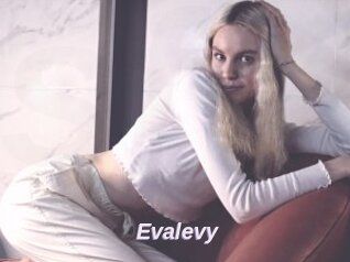 Evalevy