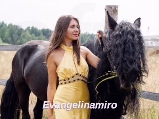 Evangelinamiro