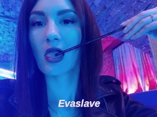 Evaslave