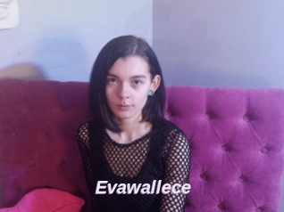 Evawallece