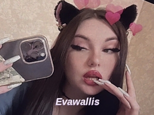 Evawallis