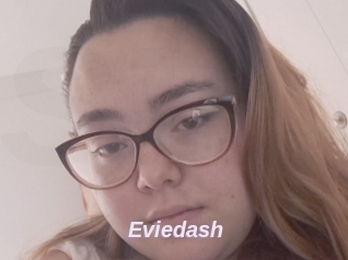 Eviedash