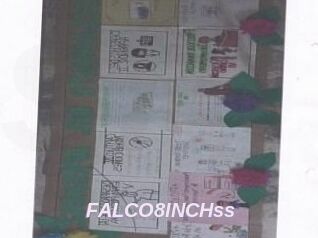 FALCO8INCHss