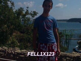 FELL1X123