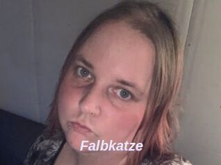 Falbkatze