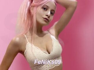 FeNiKs09