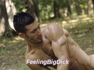 FeelingBigDick