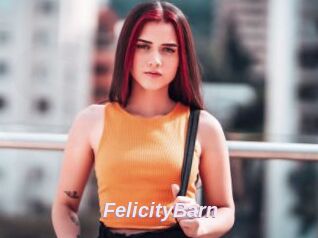 FelicityBarn