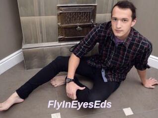 FlyInEyesEds