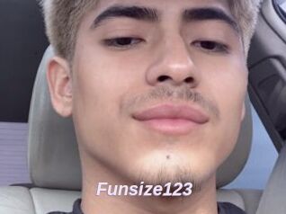 Funsize123