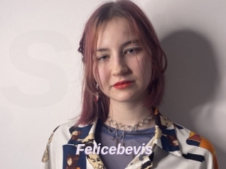Felicebevis