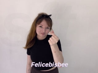 Felicebisbee