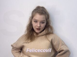Felicecovil