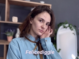 Felicediggle