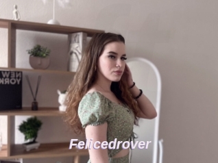 Felicedrover