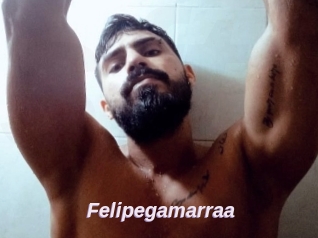 Felipegamarraa