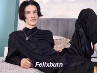 Felixburn