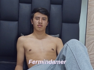 Fermindamer