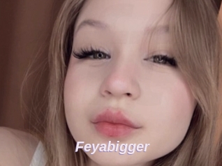 Feyabigger