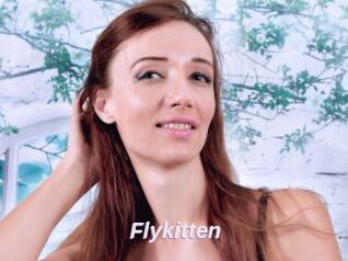 Flykitten