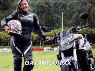 GATAMIDORIXX