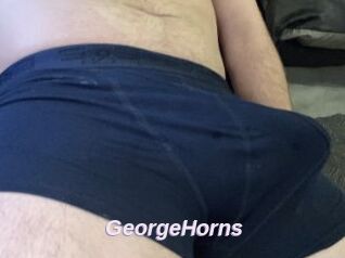 GeorgeHorns