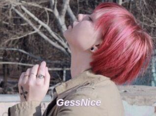 GessNice