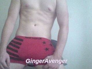 GingerAvenger
