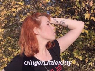 GingerLittleKitty