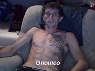 Gnomeo