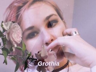 Grothia