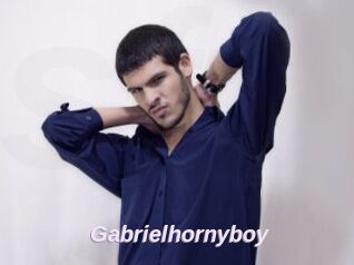 Gabrielhornyboy